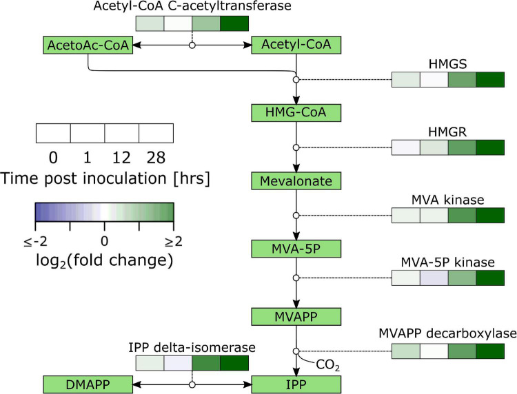 FIGURE 3