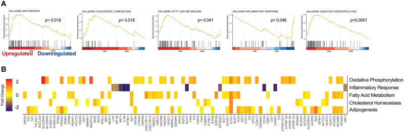 Figure 6