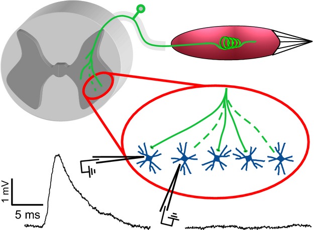 Fig 2