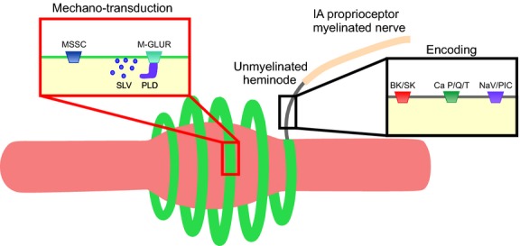 Fig 6