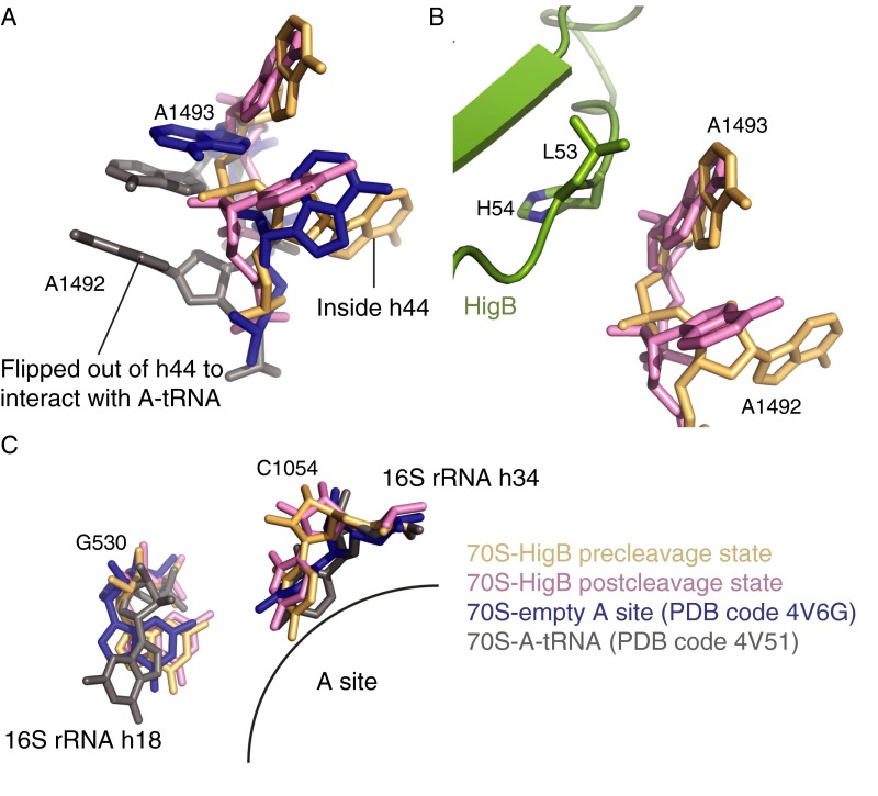 Fig. S3.