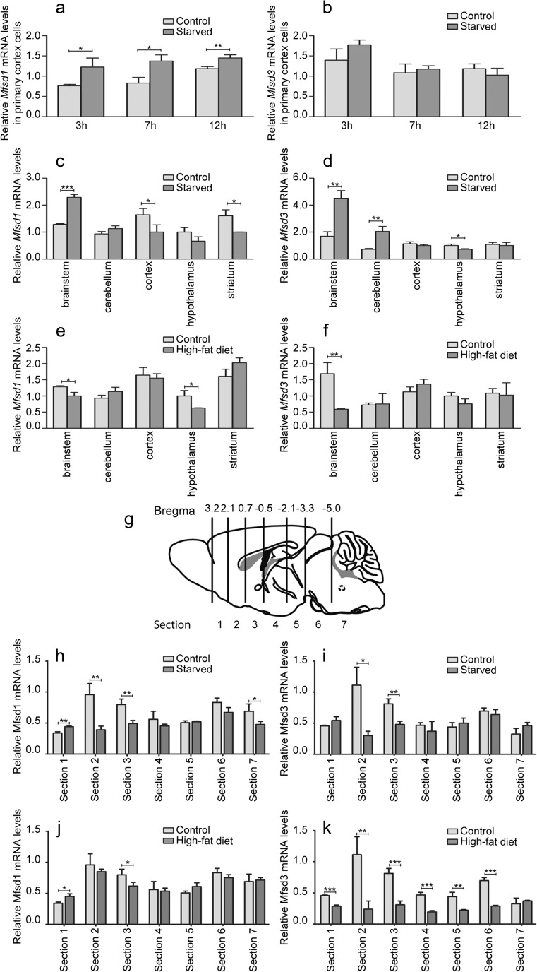 Fig. 9