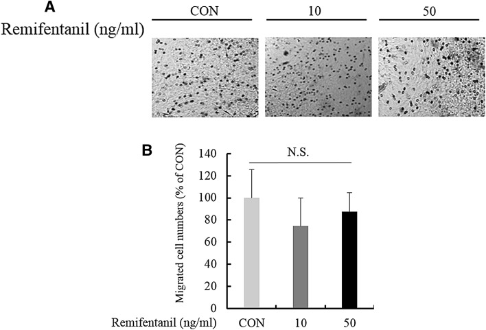 Fig. 6