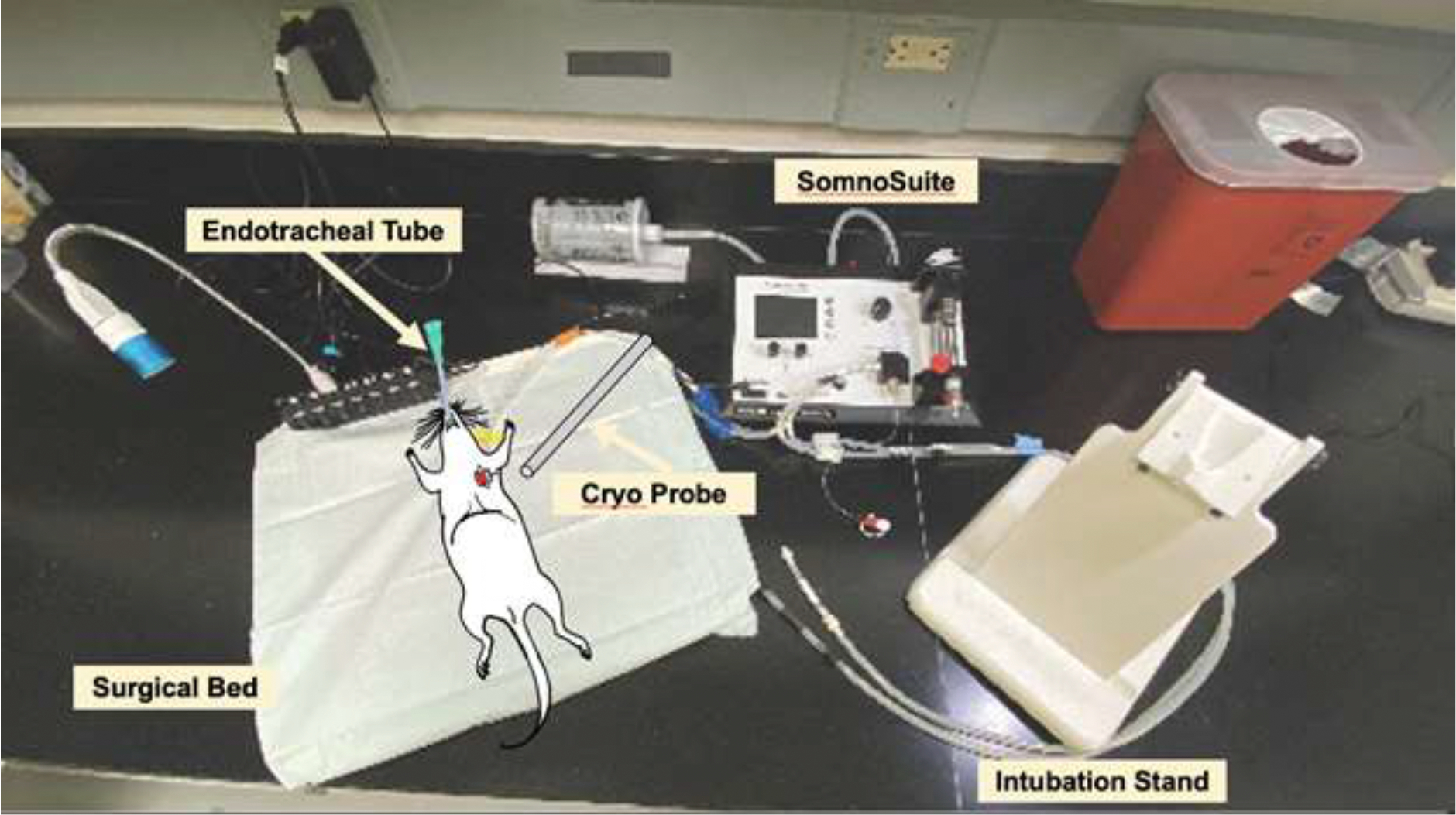 Figure 1: