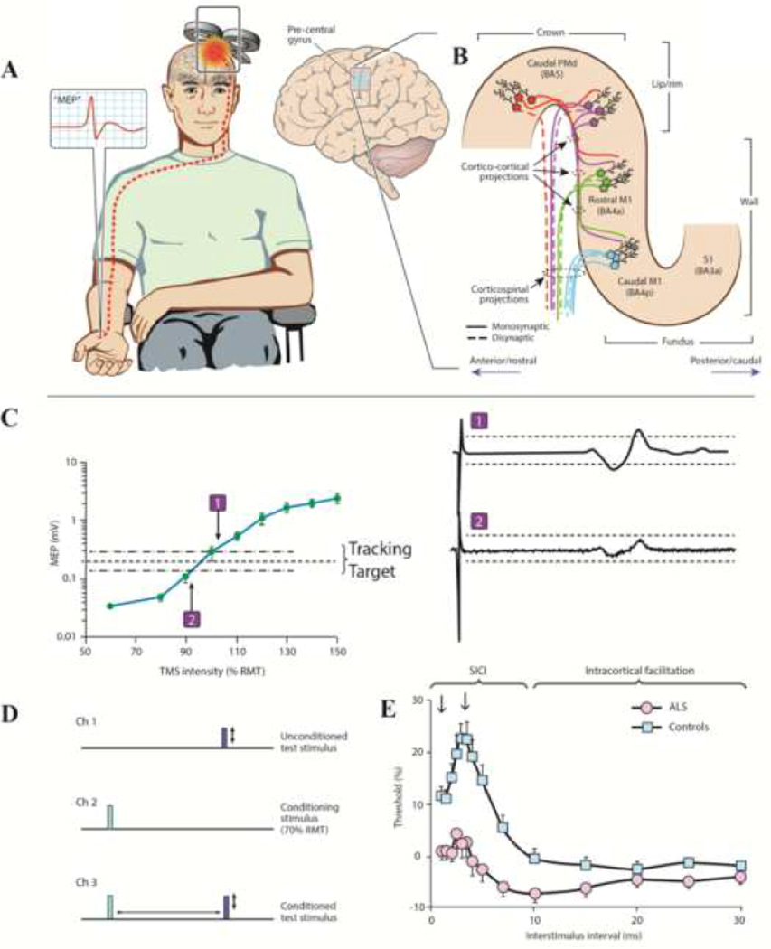 Figure 1: