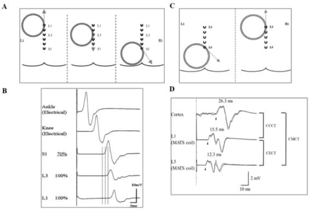 Figure 3: