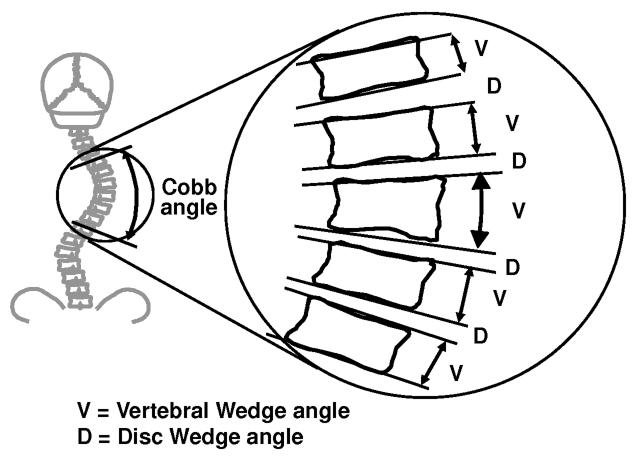 graphic file with name nihms-153720-f0001.jpg