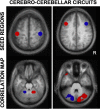 Fig. 15.