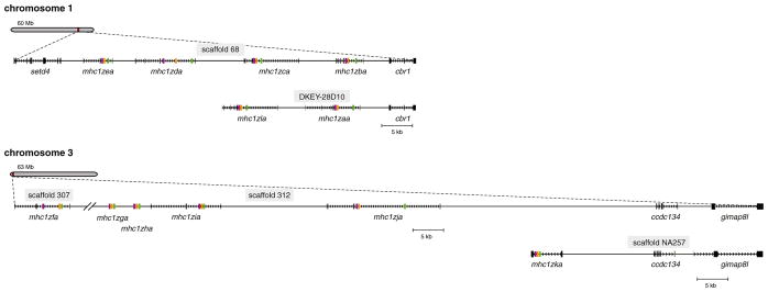 Fig. 1