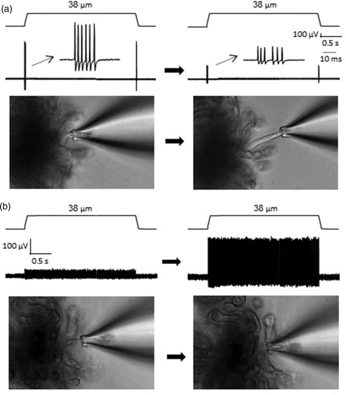 Figure 4.