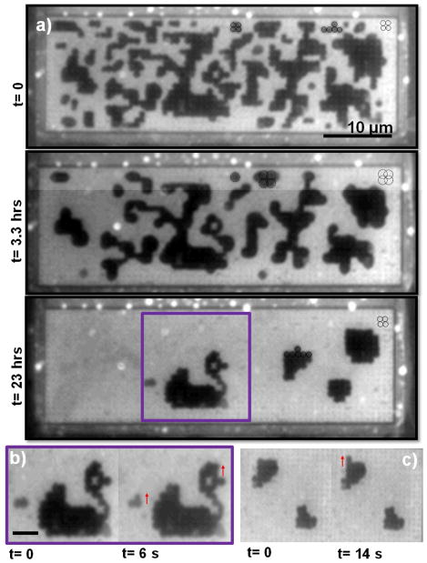 Fig. 6