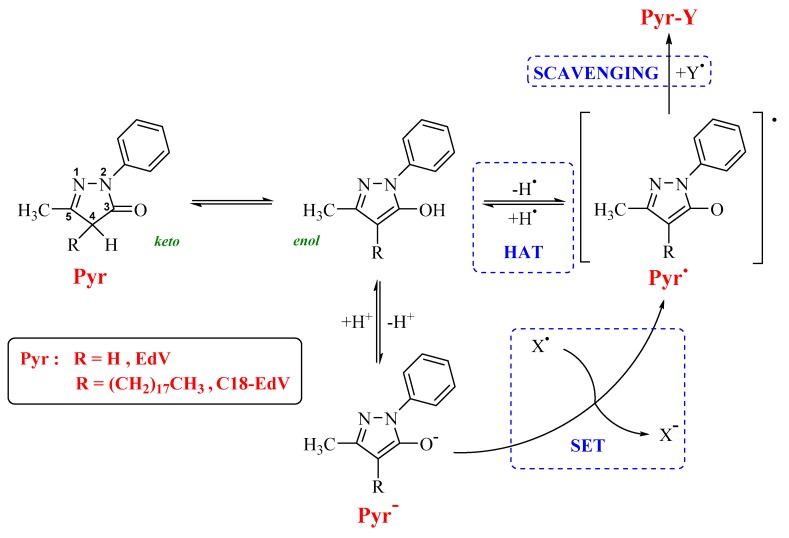 Scheme 1