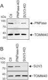 Figure S1.