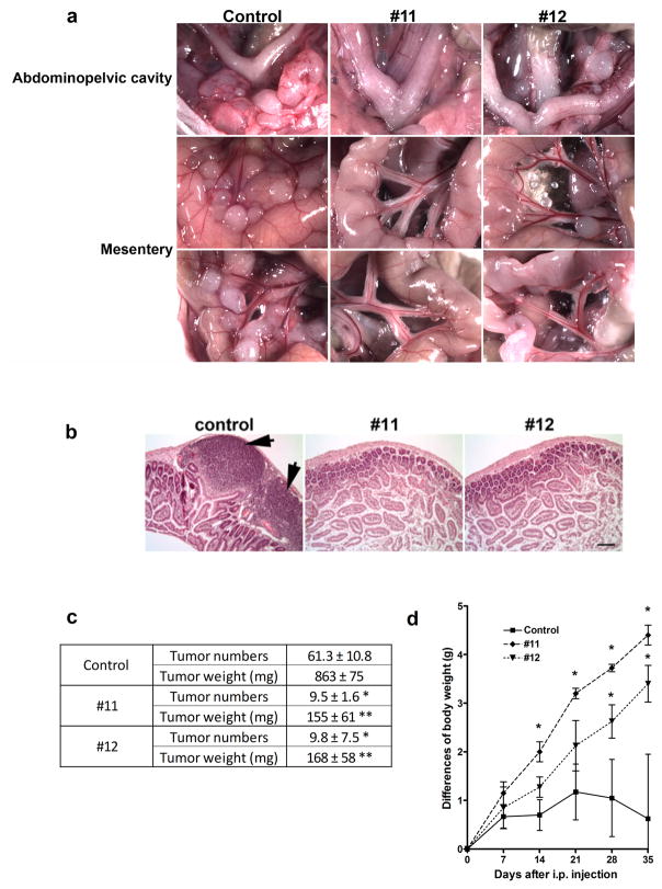 FIGURE 3