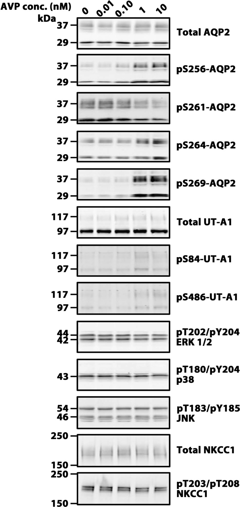 Fig. 8.