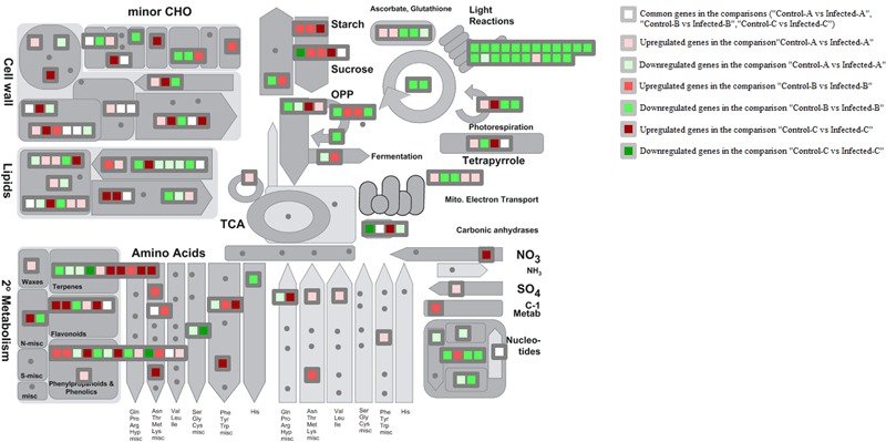 FIGURE 3