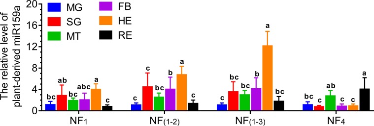 Fig 6