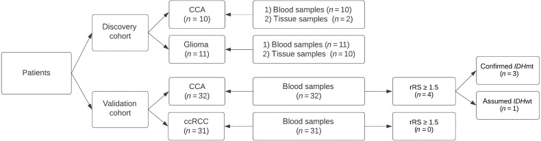 Figure 1. Study flow diagram. CCA: Cholangiocarcinoma; ccRCC: clear-cell renal cell carcinoma; 2HG: 2-Hydroxylutarate; rRS: ratio of R2HG/S2HG; IDHmt: IDH mutated; IDHwt: IDH wild type.