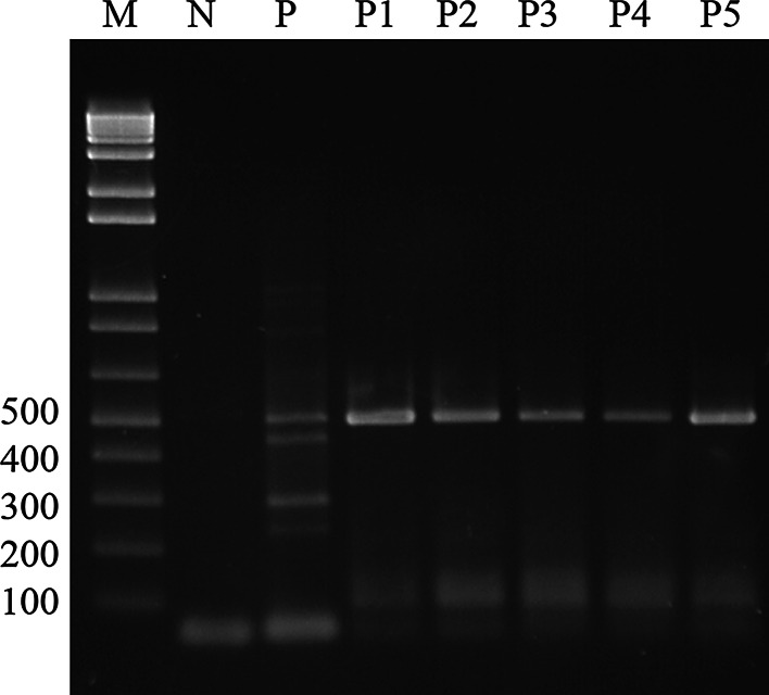 Fig. 2