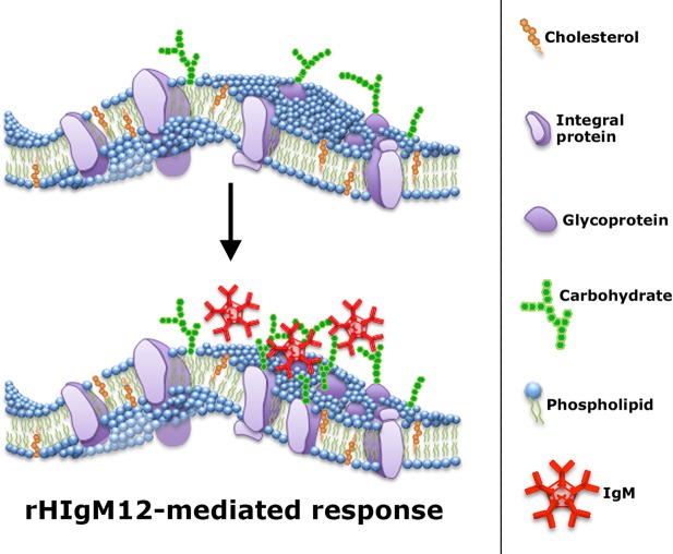 Fig. 6.