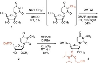 Scheme 1