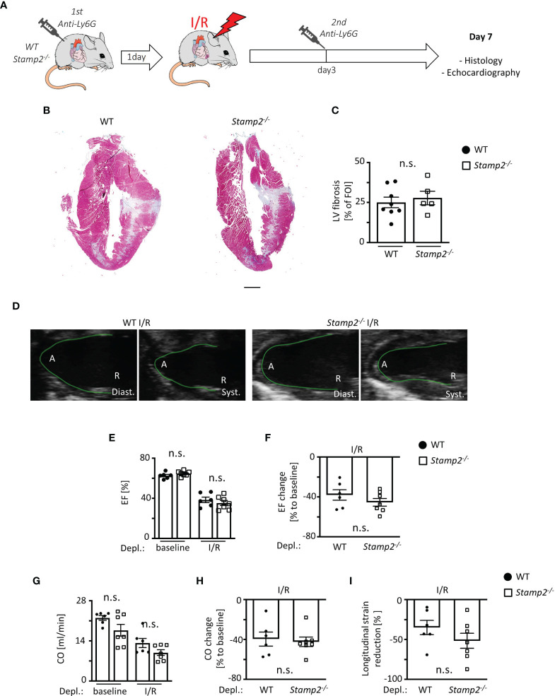 Figure 5