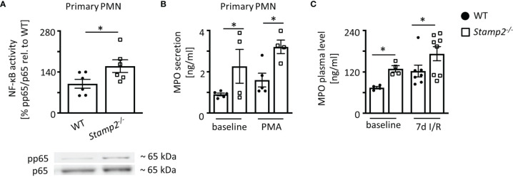 Figure 4