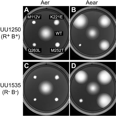 FIG. 7.