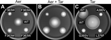 FIG. 6.