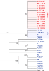 Figure 4—figure supplement 1.