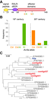 Figure 10.