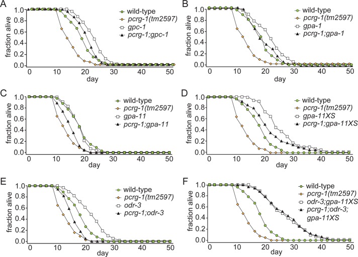 FIGURE 4: