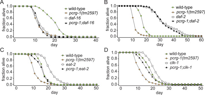 FIGURE 6: