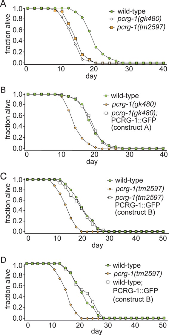 FIGURE 3: