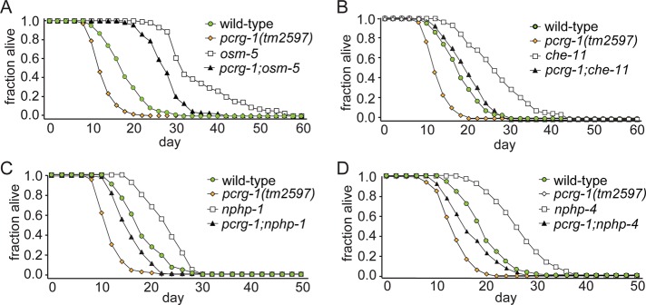 FIGURE 5: