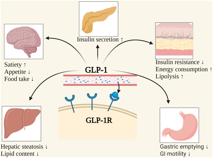 Figure 1