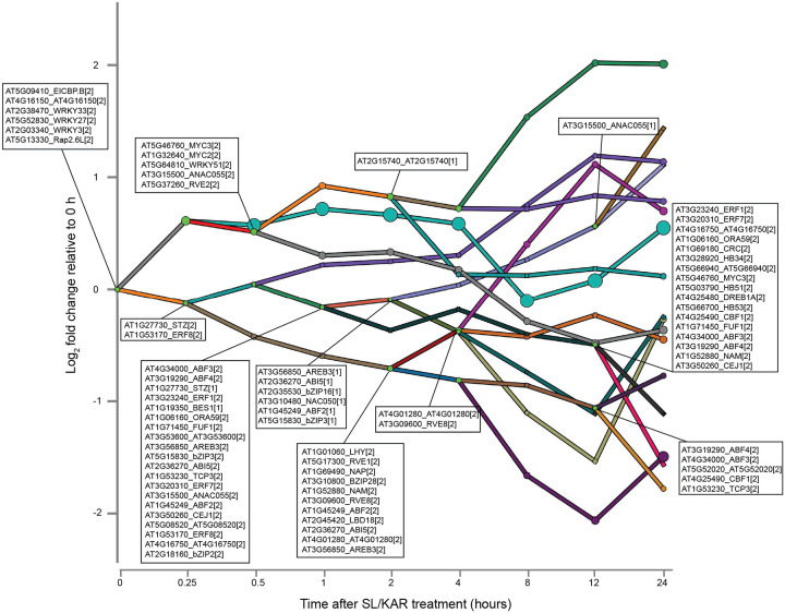 Extended Data Figure 6.