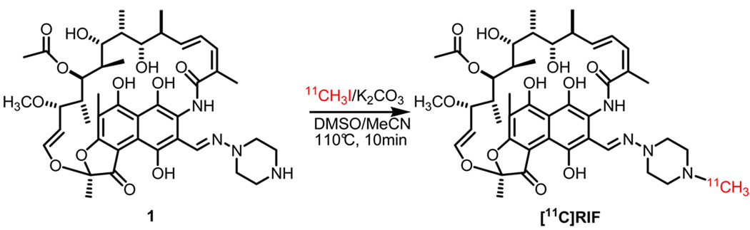 Scheme 1