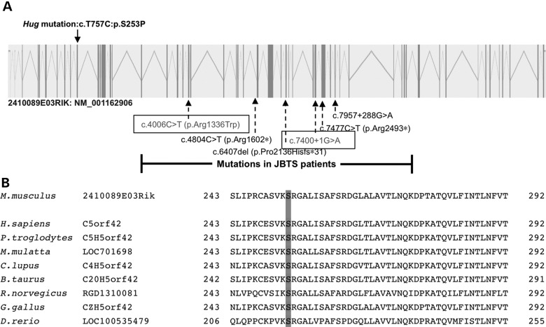 Figure 4.