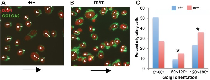 Figure 7.