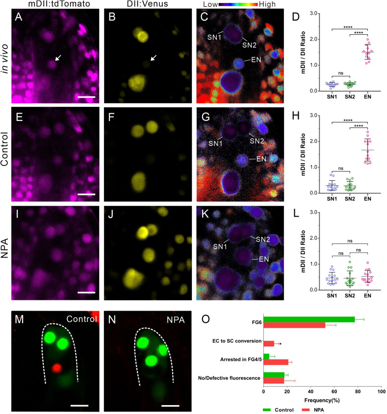 Fig. 4.