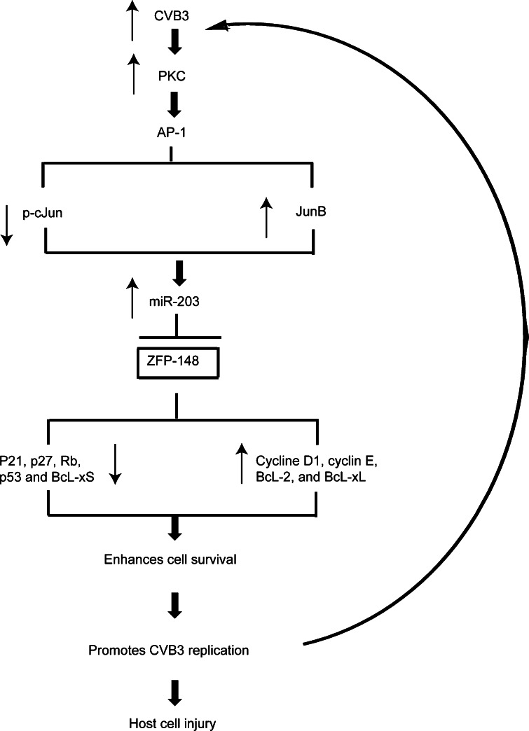 Fig. 9