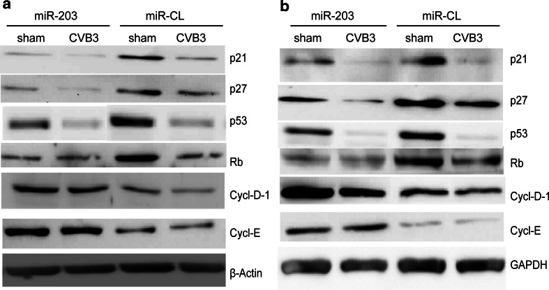 Fig. 8