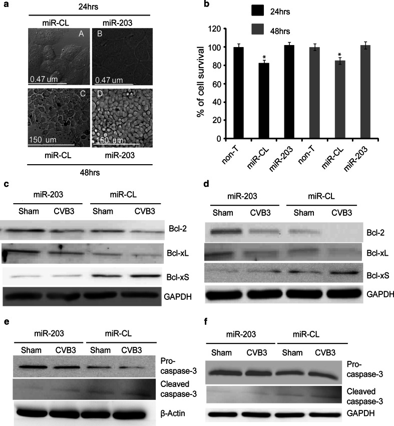 Fig. 7