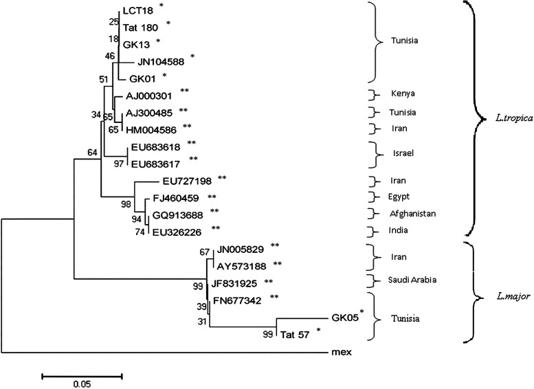 Figure 2.