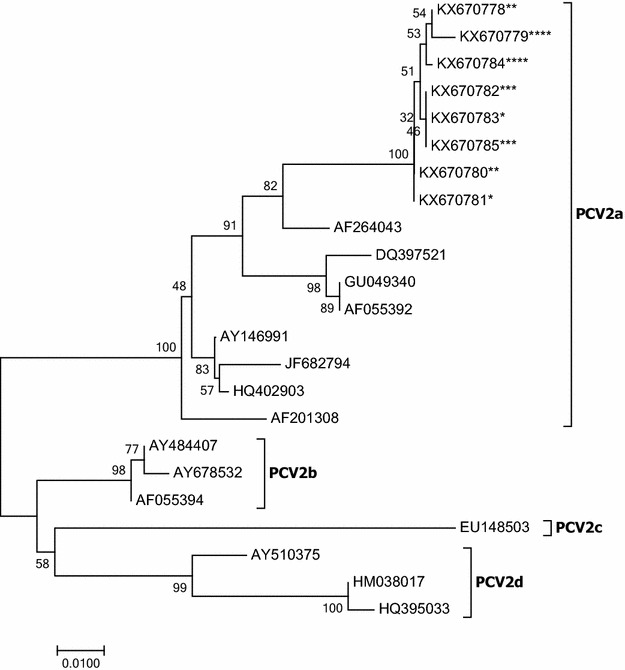 Figure 6