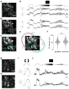 Extended Data Figure 2