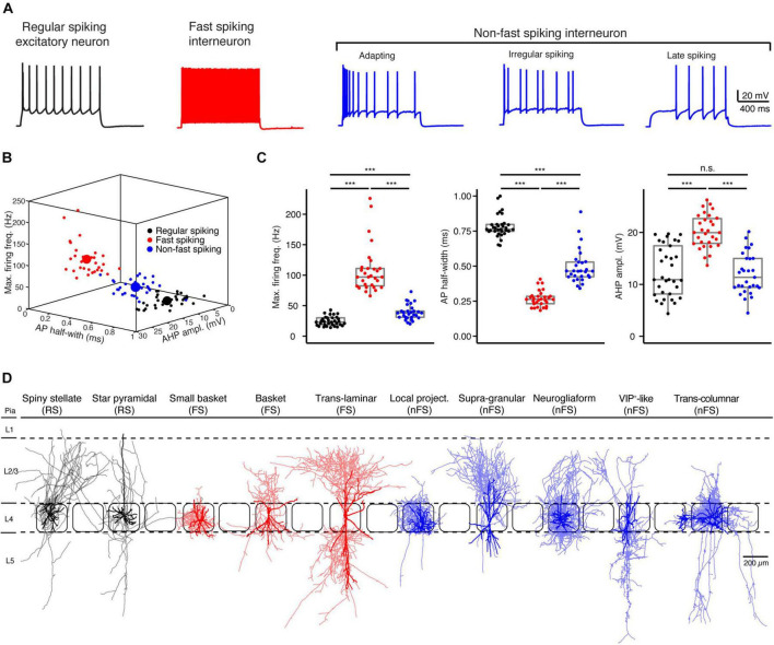 FIGURE 1