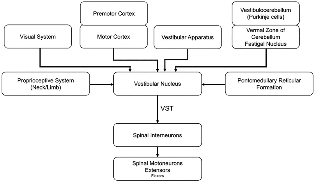 Fig. 1.8.