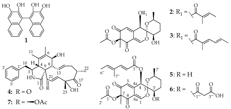 Figure 6